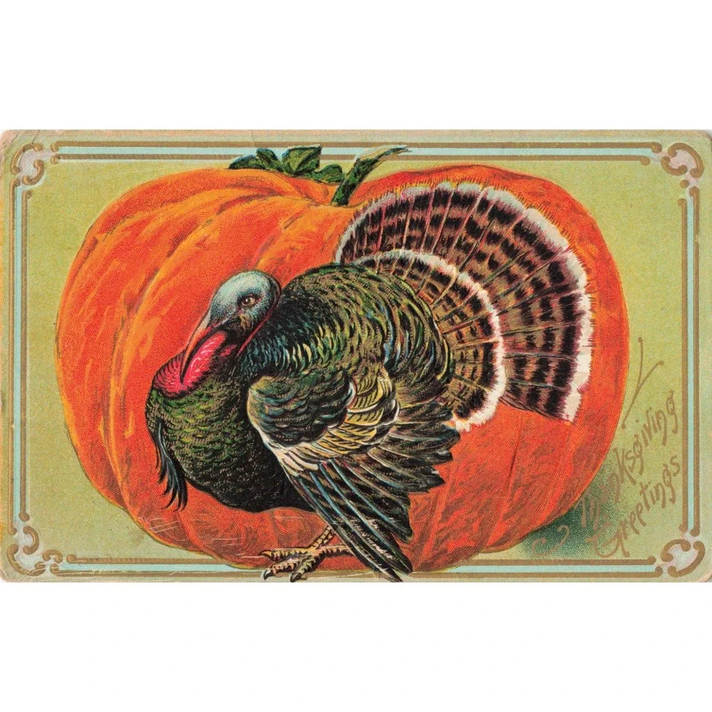 Vtg 1908 Thanksgiving Postcard RPPC Embossed Turkey Pumpkin Sheboygan WI